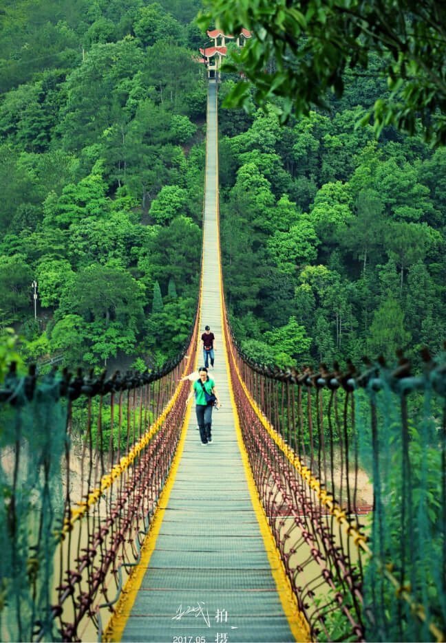 Tropical Escapes & Beach Getaways.